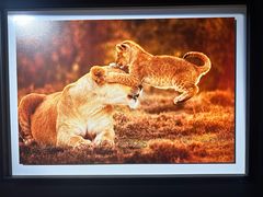 -罗红摄影艺术馆