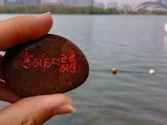 -天鹅湖体育公园