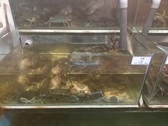 -ZF Seafood Restaurant 卓峰海鲜餐