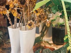 -PlantsEatery·植物食堂(REX春熙店)