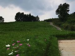 -长春世界雕塑园冰雪艺术天地