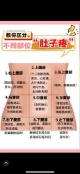点击看大图 -玛莲朵·海菲秀冰珀科