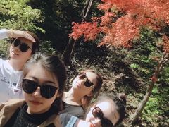 -天女山森林公园