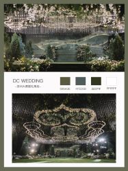 -DC大蔡婚礼策划(李公堤店)