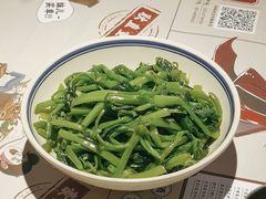 -酒阳蒸经·江湖川菜