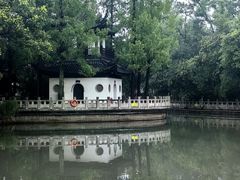 -汇龙潭