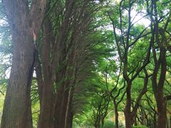 -共青国家森林公园-售票处