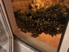-青岛海景花园大酒店