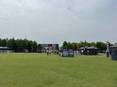 -春花秋色城市公园