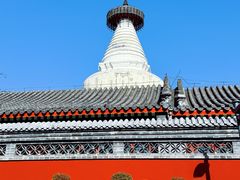 -春风习习