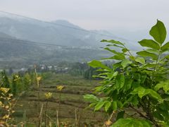 -太阳湾风景区
