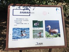 -大兴滨河森林公园