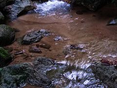 -火炉山森林公园