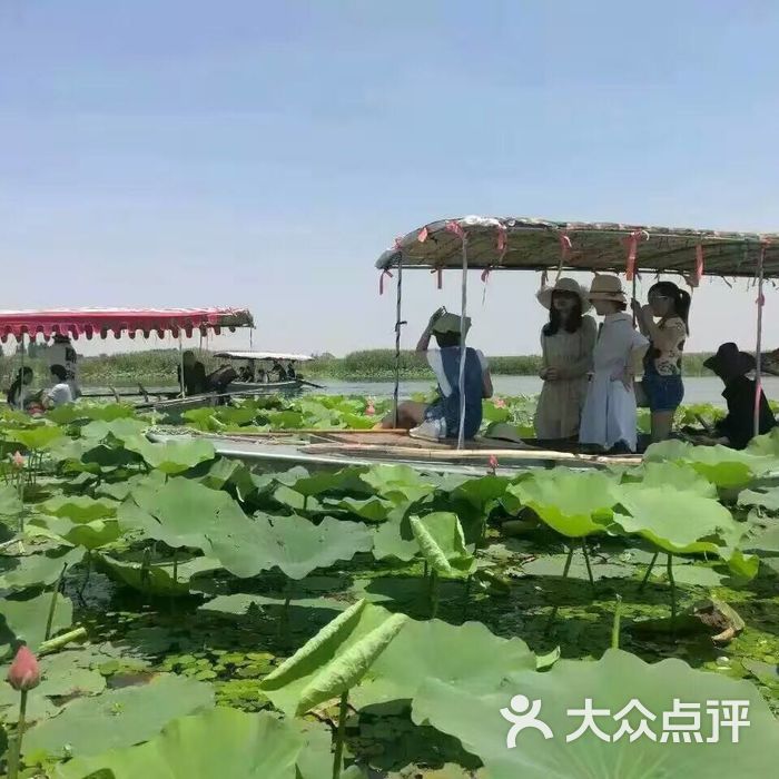 王家寨水乡民俗村图片