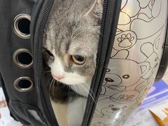 -荔康动物医院(康王北路店)