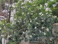 -南京财经大学(仙林校区)