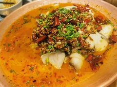 香辣酸菜黑鱼-云海肴·汽锅鸡·云南菜(天山百盛优客店)