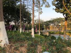 -映月湖公园