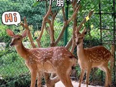 -南宁荔园维景国际大酒店·荔园中餐厅