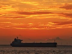 -上海吴淞炮台湾国家湿地公园