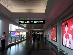 -厦门高崎国际机场-T3航站楼