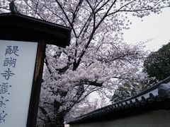 -醍醐寺