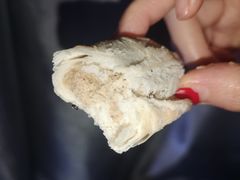 -北京稻香村(学清店)