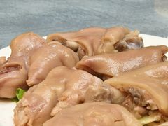 -丁老爷子苏香圆