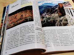 -古美路街道图书馆