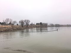 -长兴太湖图影湿地文化园