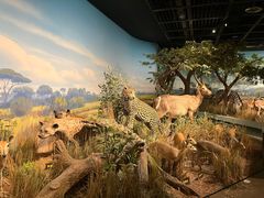 -陕西自然博物馆