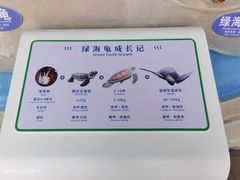 -广东惠东海龟国家级自然保护区
