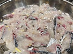 -丰尔粥食·粥底火锅·桑拿鸡(大良总店)