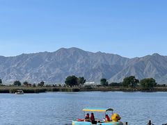 -野鸭湖国家湿地公园