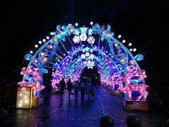 -哈尔滨文化公园