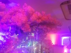 -巴特餐饮6加1音乐餐吧·新疆菜