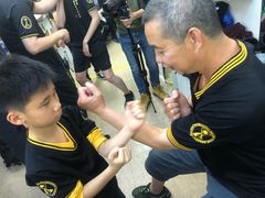 -温鉴良实用咏春拳