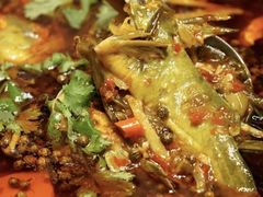 -金龙渔港(双楠店)