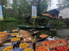 -西溪国家湿地公园