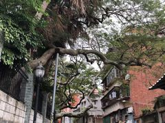 -叶氏麻糍(鼓浪屿店)