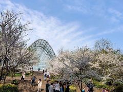 -南山植物园