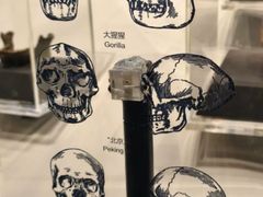 -周口店北京人遗址公园