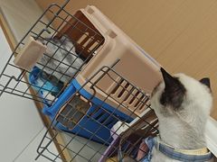-瑞派康怡24h宠物医院·犬猫医疗中心·微创绝育(瑞景分院)