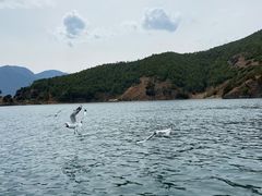 -丽江泸沽湖景区
