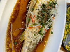 -大锅强·蒸海鲜青岛菜(金沙滩店)