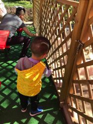 -萌宠亲子动物乐园(槐房万达店)