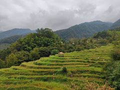 -石台牯牛降景区