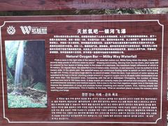 -龙水峡地缝景区