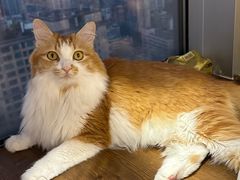 -氷冰凉刨冰甜品(北京路店)