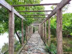 -南汇桃花村